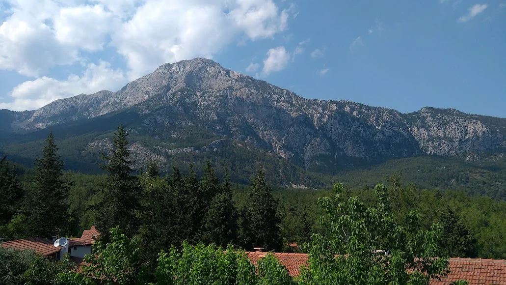Beycik